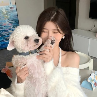 史黛拉失踪事件簿
