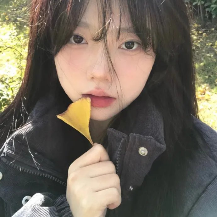 战地奇女子